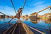 Myanmar (Burma), Shan State, Inle Lake, Pauk Par village, U Thone the fisherman on his dugout canoe