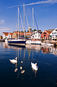 Norway, Rogaland County, Stavanger, pleasure boats and swans in the old harbour (Vagen)