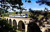 France, Haute Corse, Venaco, the Trinighellu, the Corsican little train before it enters the Venaco station