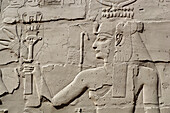Egypt, Upper Egypt, Upper Egypt, Nile Valley, Luxor, Karnak listed as World Heritage by UNESCO, temple dedicated to Amon God, hypostyle room, Isis Goddess