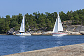 Sailboats near the island of Finnhamn in Stockholm archipelago, Uppland, Stockholms land, South Sweden, Sweden, Scandinavia, Northern Europe