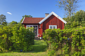 Swedish summer house in Raevsnaes, Northern Stockholm archipelago, Stockholms County, Uppland, Scandinavia, South Sweden, Sweden, Northern Europe