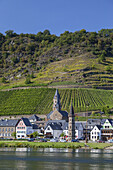 View over the Mosel at Hatzenport, Eifel, Rheinland-Palatinate, Germany, Europe