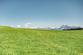 Eisenberg Zell, Frühling, Wiese, Allgäu, Deutschland, Berge