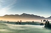 Close to Lake Hopfensee, Sunrise, Allgaeu, Bavaria, Germany, Mountains, Snow, mist, Lake