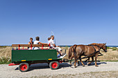 Carriage ride at the westcoast of the island Ærø, South Funen Archipelago, Danish South Sea Islands, Southern Denmark, Denmark, Scandinavia, Northern Europe