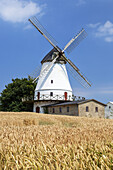 Windmill Lundsgardsmark near Sønderborg, Southern Denmark, Denmark, Scandinavia, Northern Europe