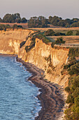 Cliffs Stevns Klint, Højerup, Store Heddinge, Stevns Peninsula, Island of Zealand, Scandinavia, Denmark, Northern Europe