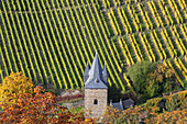 Das Steeger Tor in der Stadtmauer von Bacharach vor den Weinbergen, Oberes Mittelrheintal, Rheinland-Pfalz, Deutschland, Europa