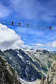 Several persons climbing on fixed-rope Sentiero dei Fiori over big .. Bridge, Sentiero dei Fiori, Adamello-Presanella Group, Trentino, Italy