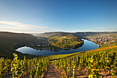 Mosel river bend near Kroev, Mosel, Rhineland-Palatinate, Germany