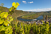 View from Bremmer Calmont vineyard over the Mosel river bend near Bremm, Mosel, Rhineland-Palatinate, Germany