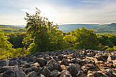 Basalt columns at Schafstein rock, near Ehrenberg, Rhoen, Hesse, Germany