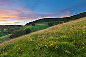 Landschaft am Wiedener Eck, Münstertal, Südlicher Schwarzwald, Baden-Württemberg, Deutschland