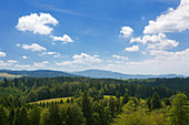 Landschaft bei St. Märgen, Südlicher Schwarzwald, Baden-Württemberg, Deutschland