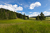 Landscape on the Black Forest Panoramic Road, Black Forest, Baden-Wuerttemberg, Germany