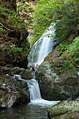 Ravennaschlucht, Südlicher Schwarzwald, Baden-Württemberg, Deutschland