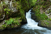 Ravennaschlucht, Black Forest, Baden-Wuerttemberg, Germany