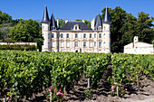 France, Gironde, Pauillac, the vineyards and the castle of Longueville-Pichon in the region of Medoc where a wine grand cru classe is produced