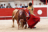 France, Gard, Nimes, bullfight during the Feria in the bullring