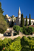 France, Gard, La Roque sur Ceze, labelled Les Plus Beaux Villages de France (The Most Beautiful Villages of France)