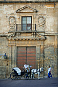 Spain, Andalusia, Cordoba, historic part listed as World Heritage by UNESCO, carriage in front of the palacio Episcopal