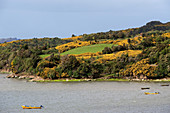 Chile, Los Lagos Region, Chiloé Island, Péninsule de Lacuy, Quetalmahue cove