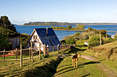Chile, Los Lagos Region, Chiloé Island, Quemchi, native town of chilean writer Franscisco Coloane