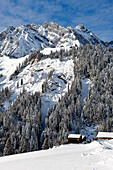 France, Savoie, La Giettaz, the massif of Aravis, Etale 2484m