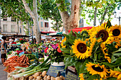 France, Bouches du Rhone, Aix en Provence, the Place Richelme, market