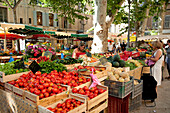 France, Bouches du Rhone, Aix en Provence, the Place Richelme, market