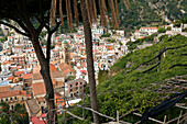 Italy, Campania, Amalfi Coast, listed as World Heritage by UNESCO, Amalfi, view on the town and lemon trees from the cemetery