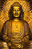 Taiwan, Kaohsiung District, Dashu, Fo Guang Shan Buddhist Monastery, Main Shrine housing 3 Buddhas : Buddha of compassion, Amitabha (here in the picture), Buddha of education, Sakyamuni and the Buddha of Medicine