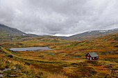 Norway, Hordaland County, Vikajfell, road of Vik to Voss