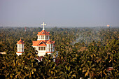 India, Kerala State, Kollam, catholic church emerging from the coconut palms