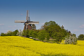 Windmills in Woldegk, Mecklenburg-Vorpommern, Germany