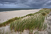 Nordstrand beach on the island of Sylt, Schleswig Holstein, Germany