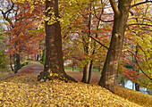 Herbststimmung am Wall in Neubrandenburg, Mecklenburg Vorpommern, Deutschland