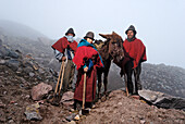 Ecuador, Chimborazo Province, Andes, Chimborazo volcano, 4600 m high, the Hieleros travel on donkey's back with blocks of 50 kg of ice
