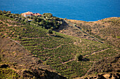 Spanien, Katalonien, Costa Brava, der Hafen von Lleurat, Garbet Strand