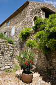 Frankreich, Gard, La Roque sur Cèze, etikettiert Die Schönsten Dörfer Frankreichs (Die schönsten Dörfer von Frankreich), Steinhaus