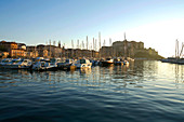 France, Haute Corse, Calvi, the harbour and the citadel