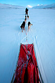 Schweden, Grafschaft Norrbotten, Lappland, Alesjaur, Wanderweg Kungsleden, Schlittenhunde-Tour