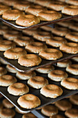 Frankreich, Pyrénées Atlantiques, Saint Jean de Luz, Kochen Makronen von Maison Adam Konditor, Makronen Platten aus dem Ofen entfernt