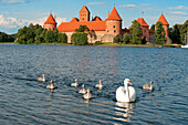 Lithuania (Baltic States), Vilnius County, Trakai Historical National Park, castle of Trakai Island (Salos Pilis)