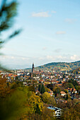 panoramic view, autumn, Freiburg, Black Forest, Baden-Wuerttemberg, Germany