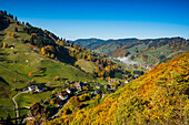 Muenstertal in the autumn, Southern Black Forest, Black Forest, Baden-Wuerttemberg, Germany