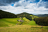 Kohlerhof, bei Freiburg im Breisgau, Schwarzwald, Baden-Württemberg, Deutschland