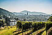 Panorama, Freiburg im Breisgau, Schwarzwald, Baden-Württemberg, Deutschland