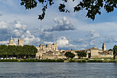 Pont St Benezet, Bruecke von Avignon, Avignon, Frankreich